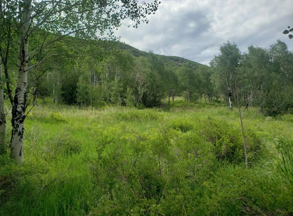 TBD Co Rd 179, Oak Creek, CO 80467
