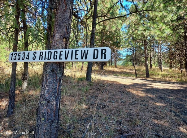 13534 S RIDGEVIEW Dr, Harrison, ID 83833
