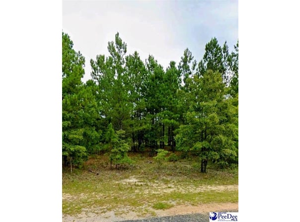 Lot 24 S Timberlake Ln, Hartsville, SC 29550