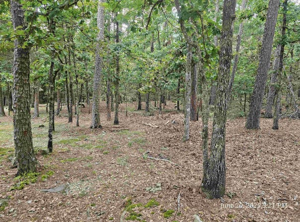 23 Fastota Lane, Hot Springs Village, AR 71909