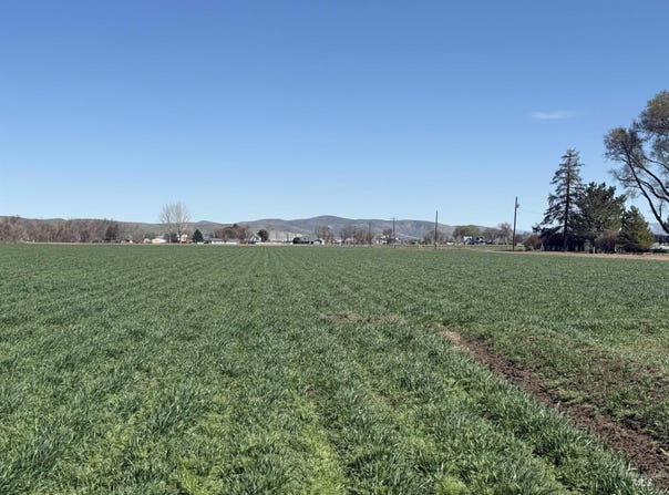 Ferrel, Weiser, ID 83672