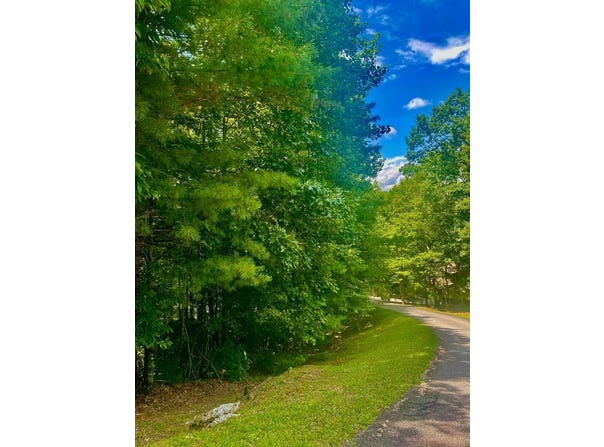 Lot22 Bryant Cove Road, Blairsville, GA 30512