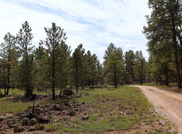 Rhyolite Road lot: 44, Grants, NM 87020