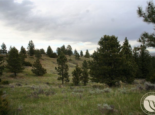 N Harrier Rd. lot: 71, Reed Point, MT 59069
