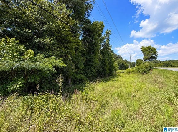 HIGHWAY 78 lot: 0, RIVERSIDE, AL 35953
