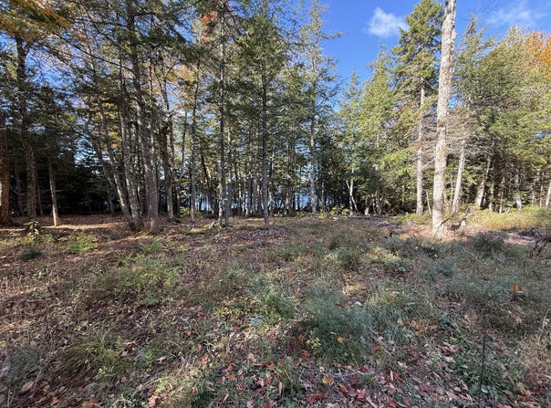 2 East Shore Road, Glenwood, ME 04497