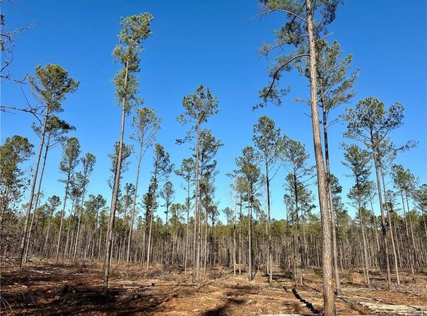 LEE ROAD 278, SALEM, AL 36874