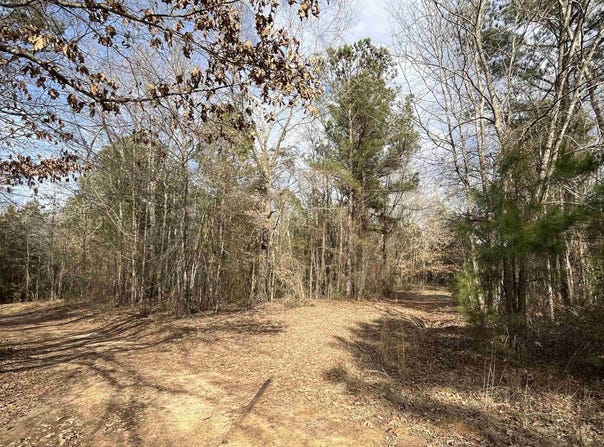 Tract 5 Venus Rd, White Oak, TX 75693