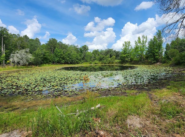 7617 Green Road, Sneads, FL 32460