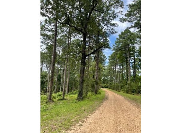 006 Carpenter St., Jena, LA 71342