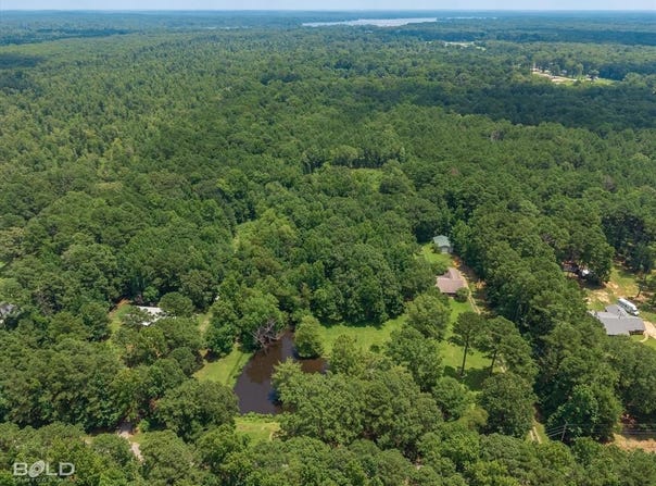 204 Silver Leaf Drive, Benton, LA 71006