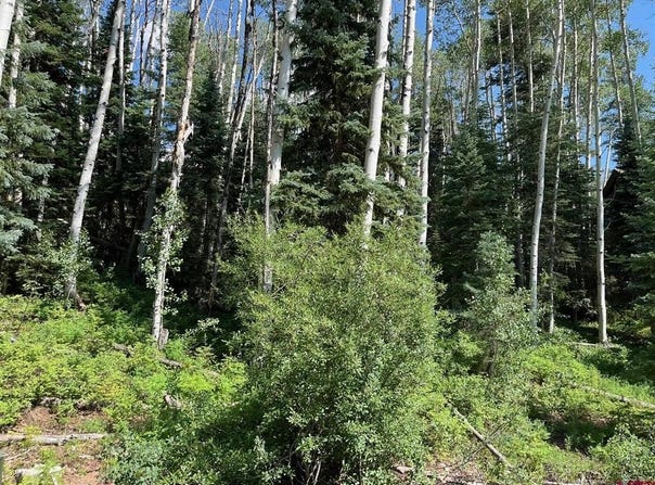 158 Engineer Drive, Durango, CO 81301