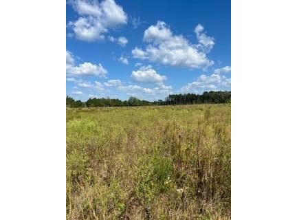 TBD Garrett Road, Silver Creek, MS 39663