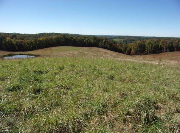 Everson Road, Buckhannon, WV 26201