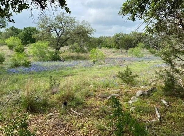 1365 Pedernales Hills RD, Johnson City, TX 78636