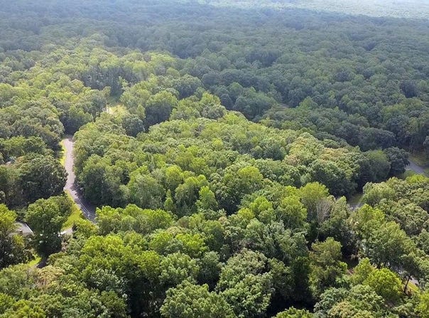 8815 CLINTON DRIVE, NOKESVILLE, VA 20181