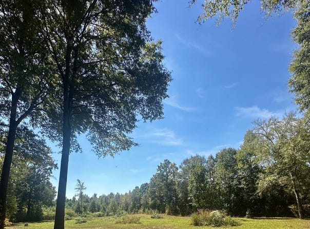 Newnan Road, Brooks, GA 30205