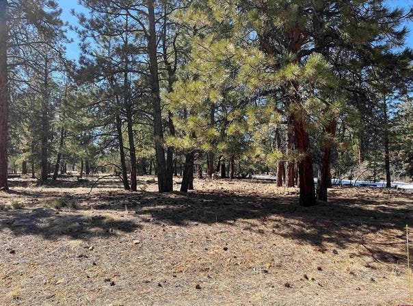 Badger Trail S, Ridgway, CO 81432