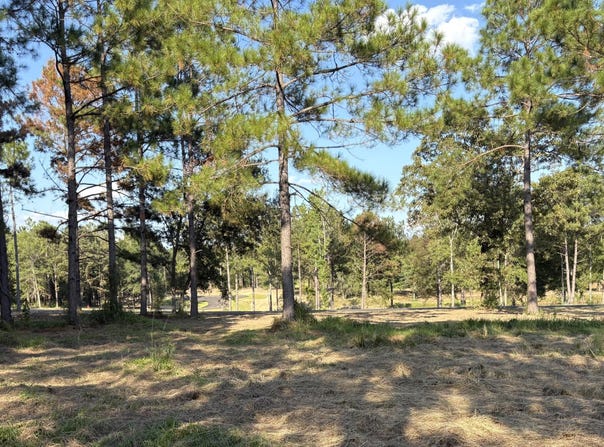 Shellcracker Drive lot: 12, Lucedale, MS 39452