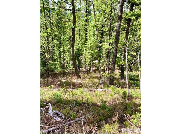 4256 Mountain View Drive, Island Park, ID 83429