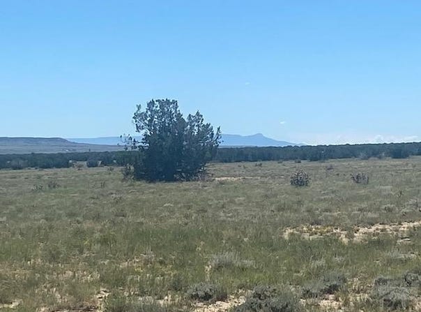 Longhorn Ranch, Model, CO 81059