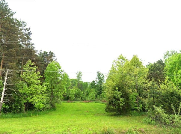 7181 W Mount Morris Road, Flushing, MI 48433