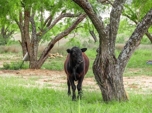 5088 Us-67, Brownwood, TX 76801