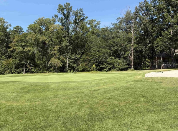 89 Lindura Way, Hot Springs Village, AR 71909-0000