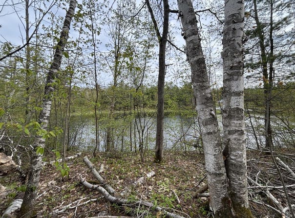 Iroquois Trail lot: 253, Gaylord, MI 49735