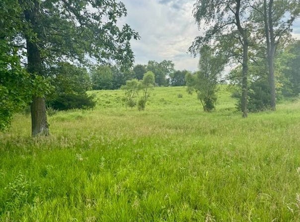 S Sd Spring Creek Rd, Camden, IL 62319