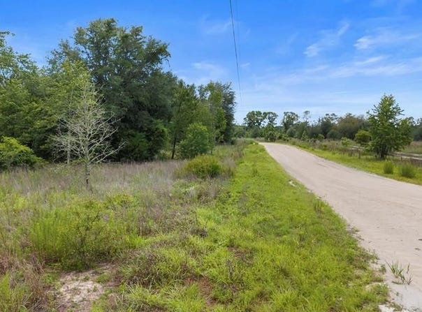 320 NE 748th Ave, Old Town, FL 32683