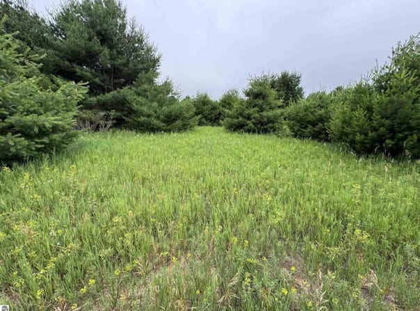Lot #7 E Bellinger Road, Cedar, MI 49621