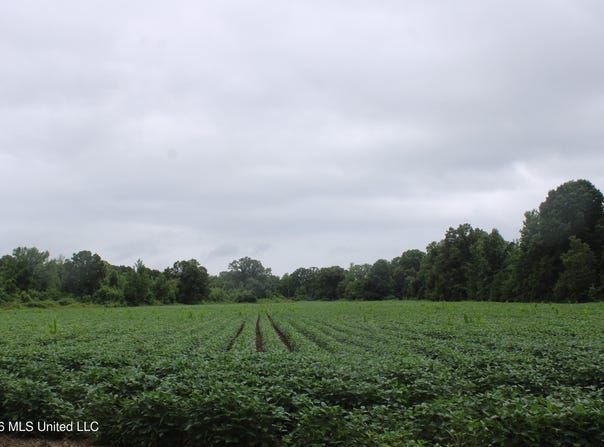1500 Allen Corner Road, Lamar, MS 38642
