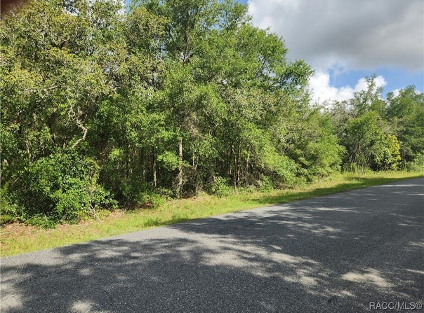 1031 E La Salle Street, Hernando, FL 34442