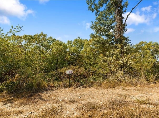 Lot 24 Peaceful  PL, Harrison, AR 72601