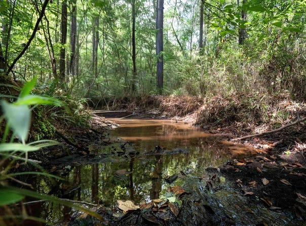 COUNTY ROAD 87 lot: 2, ROANOKE, AL 36274