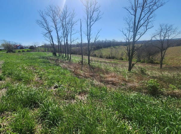 34.67 Acres Highway 22 E, Owenton, KY 40359