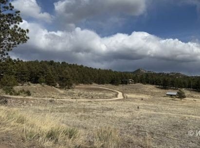 266 Good Hope Dr, Westcliffe, CO 81252
