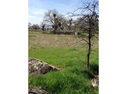 175 Hawthorne Lane, Yokuts Valley, CA 93675