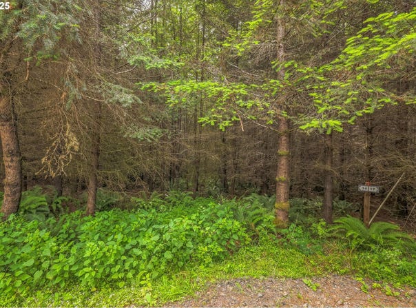 Grand Rdg RD, Toutle, WA 98649