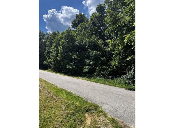 0 Lot 40 Turkey Ridge Road, Wellington, KY 40387