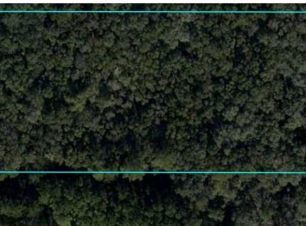 NE 210TH AVENUE, WILLISTON, FL 32696