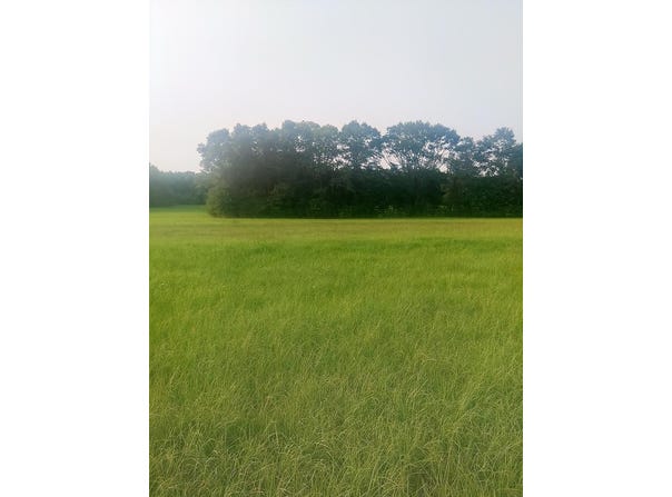 0 County Road 4, Slocomb, AL 36375