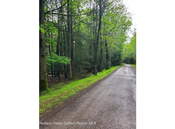 Schroon Hill Road, Kerhonkson, NY 12446