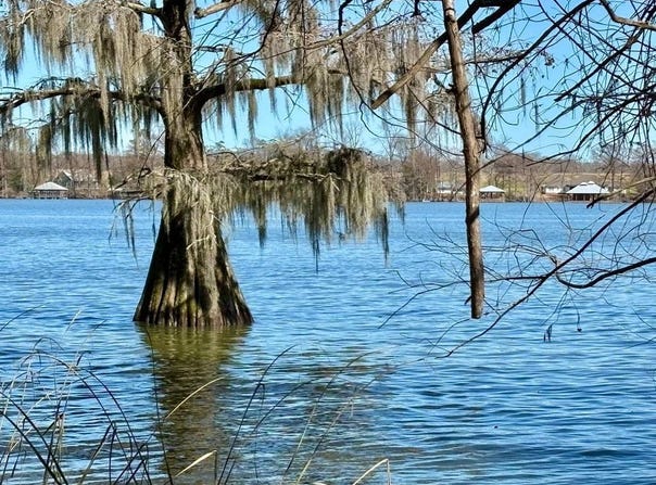 2 Michele, Saint Joseph, LA 71366