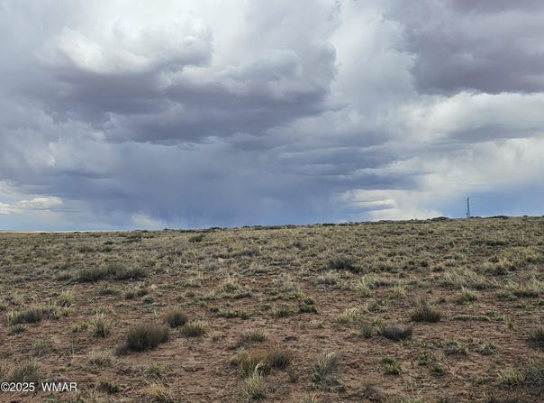 Tbd S Tovar Avenue, Holbrook, AZ 86025