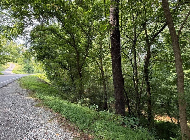 Wilsie Rd, Frametown, WV 26623