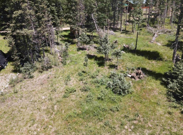Lot 109 Mountain View Rd, Red River, NM 87558