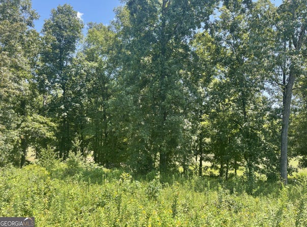 Lot 11 Oak, Hawkinsville, GA 31036