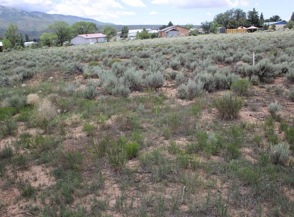 Shirley Drive lot: C, Questa, NM 87556